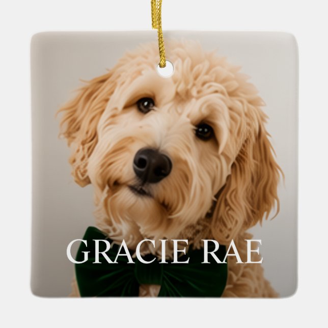 Custom Modern Simple Pet Photo Ceramic Ornament (Front)