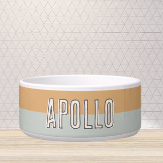 Custom Modern Two Tone Pet Name