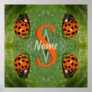 Custom Monogram Initial Name Ladybug Art Poster