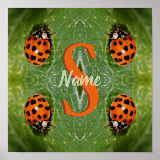 Custom Monogram Initial Name Ladybug Art Poster
