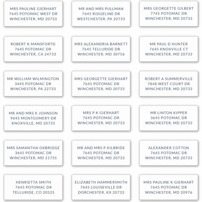 Custom Name 18 Shipping Large Address Labels (Front)