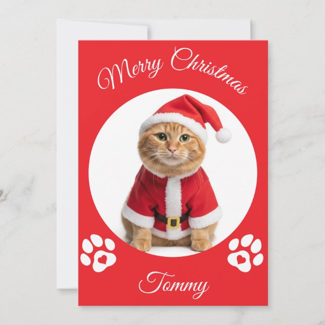 Custom Name and Photo For Cats Christmas Holiday Card (Front)