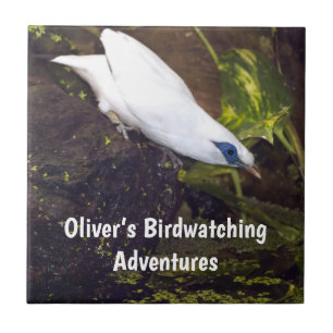 Custom Name Bali Myna Birdwatching Adventure Ceramic Tile