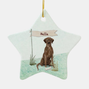 Custom Name Chocolate Lab Pet Dog Ceramic Ornament
