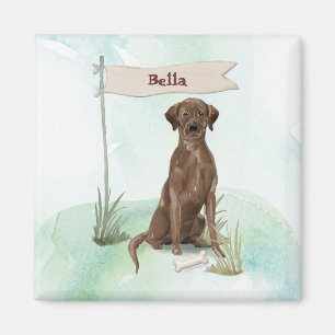 Custom Name Chocolate Lab Pet Dog Magnet