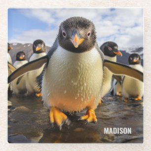 Custom Name Cool Penguins Glass Coaster