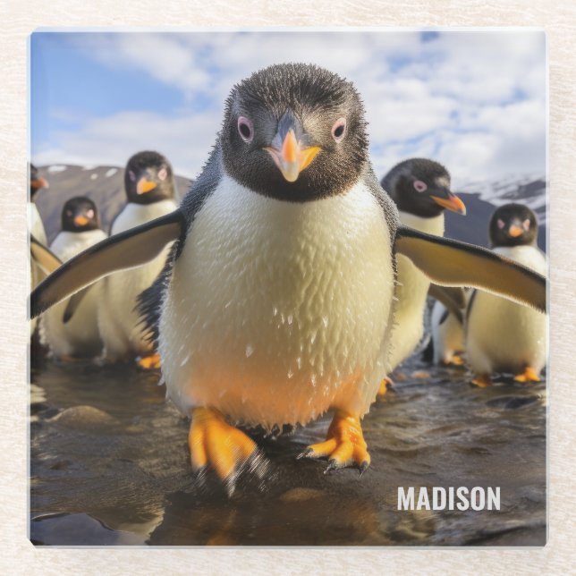 Custom Name Cool Penguins Glass Coaster (Front)
