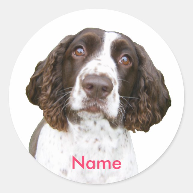 Custom Name English Springer Spaniel Stickers (Front)