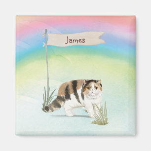 Custom Name Exotic Short Hair Cat Pet Magnet