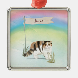 Custom Name Exotic Short Hair Cat Pet Metal Ornament