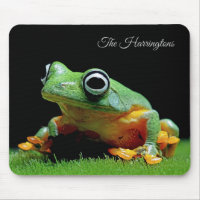 Custom Name Frog
