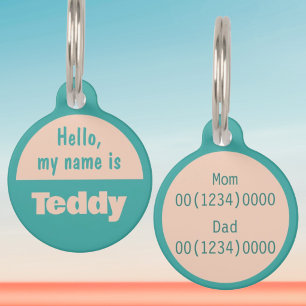 Custom Name Hello My Name Is Summer Teal Pet Tag
