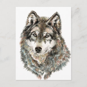 Custom Name or Text Wolf watercolor Animal Postcard