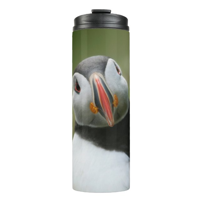 Custom name Puffin tumbler (Front)