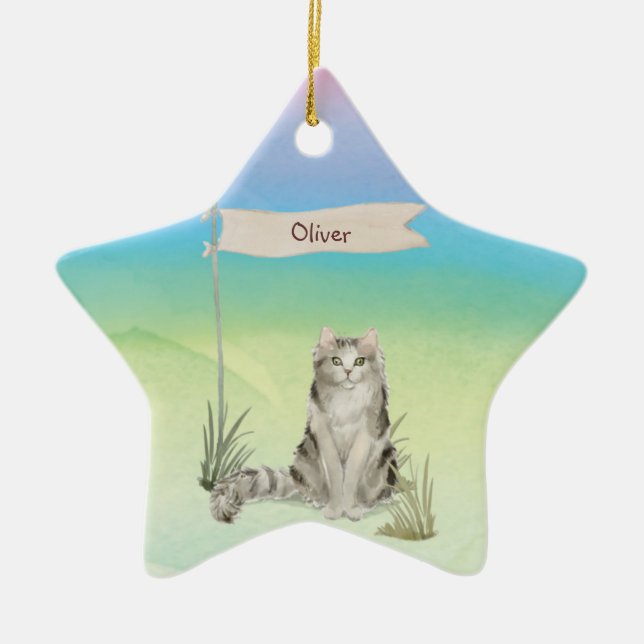 Custom Name Ragamuffin Cat Pet Ceramic Ornament (Front)