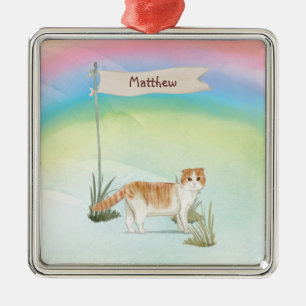 Custom Name Scottish Fold Cat Pet Metal Ornament