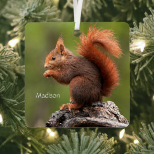 Custom Name Squirrel Metal Tree Decoration