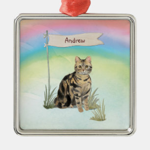 Custom Name Tabby Cat Pet Metal Ornament