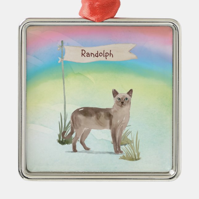 Custom Name Tonkinese Cat Pet Metal Ornament (Front)