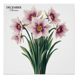 Custom Narcissus Bloom - December Gift Poster
