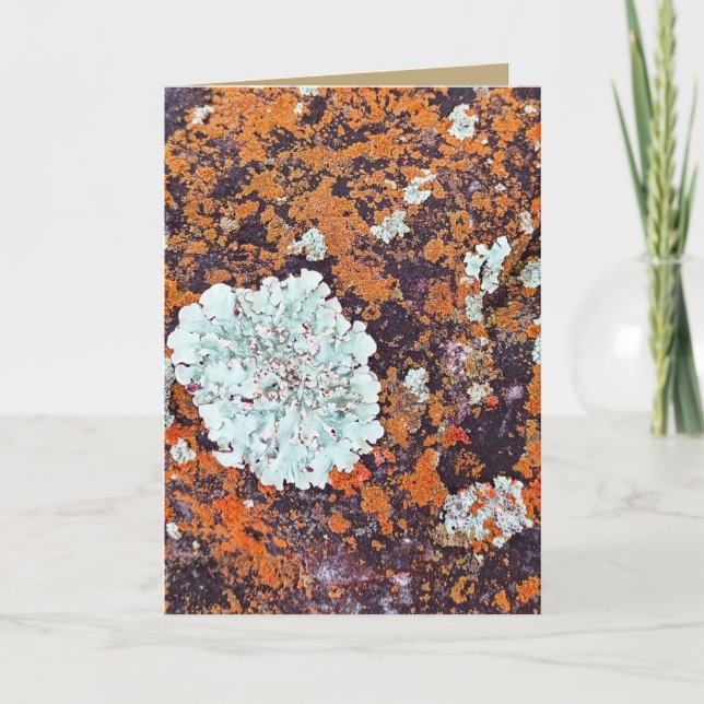 Custom Nature Stone and Lichen Thank You Card (Front)