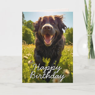 Custom Newfoundland Happy Birthday Card