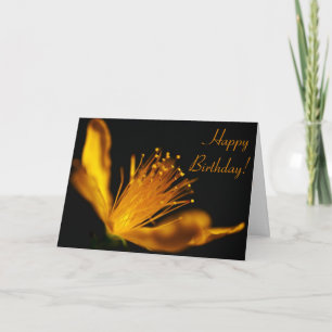 Custom Orange Blossom Happy Birthday Day Card