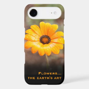 Custom Orange Daisy Close-Up Photography
