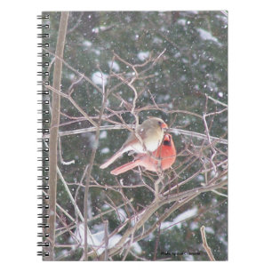 Custom organiser note book with a cardinal pair