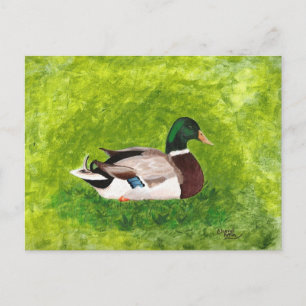 Custom Painting of Mallard Duck Postcards