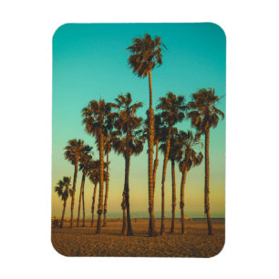 Custom Palm Trees Photo Magnet