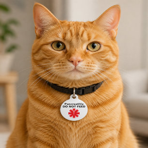 Custom Pancreatitis Do Not Feed Pet ID Tag
