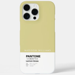 Custom Pantone Personalised Name Colour Block iPhone 16 Pro Max Case