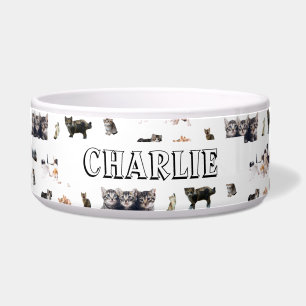 Custom pattern with photos of Cats and kittens