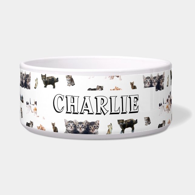 Custom pattern with photos of Cats and kittens (Front)