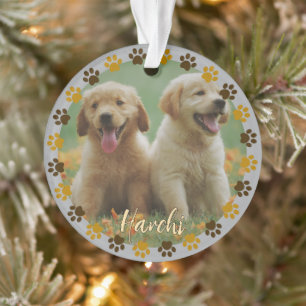 Custom Paw Prints Pet Photo Ornament with Name