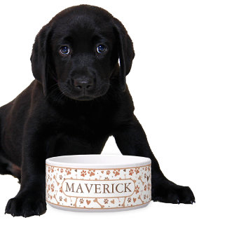 Custom Paws and Bones