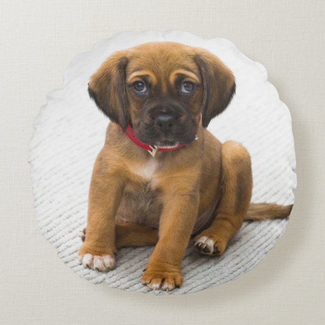 Custom  personalised add your own pet dog photo round cushion (Front)