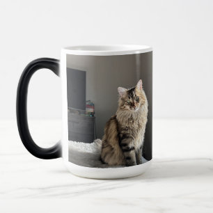 Custom Personalised Cat Photo Collage Tall Coffee Magic Mug