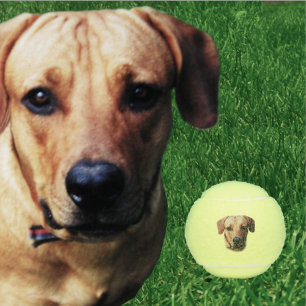 Custom Personalised Dog Tennis Balls