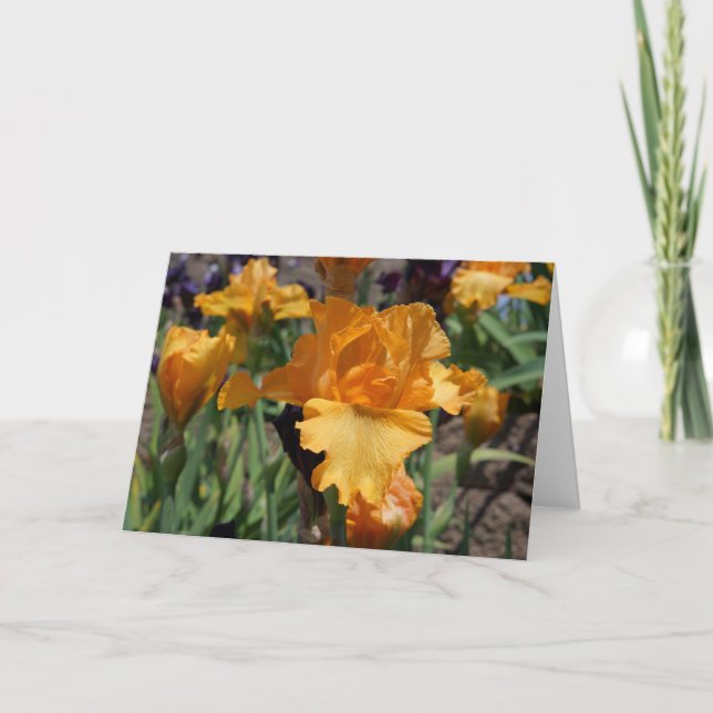 Custom Personalised Greeting Cards Orange Irises (Front)