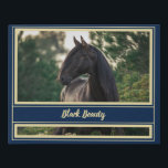 Custom / Personalised Horse Portrait w/ Show Name Faux Canvas Print<br><div class="desc">A classy elegant gold and navy design frames your beautiful horse! Change the photo to your own favourite and edit the text as desired! The text can accomodate even the longest of show/registered names. You may also consider putting something like "Sarah & Black Beauty" or "Best Friends Forever". You can...</div>
