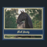 Custom / Personalised Horse Portrait w/ Show Name Faux Canvas Print<br><div class="desc">A classy elegant gold and navy design frames your beautiful horse! Change the photo to your own favourite and edit the text as desired! The text can accomodate even the longest of show/registered names. You may also consider putting something like "Sarah & Black Beauty" or "Best Friends Forever". You can...</div>