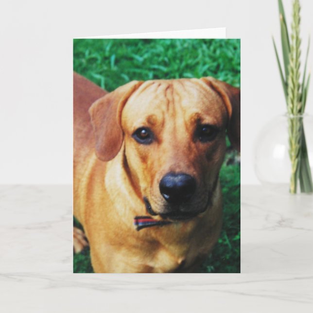 Custom Personalised Photo Greeting Card (Front)