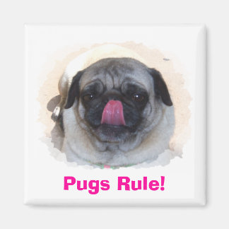 Custom Personalised Photo Magnets