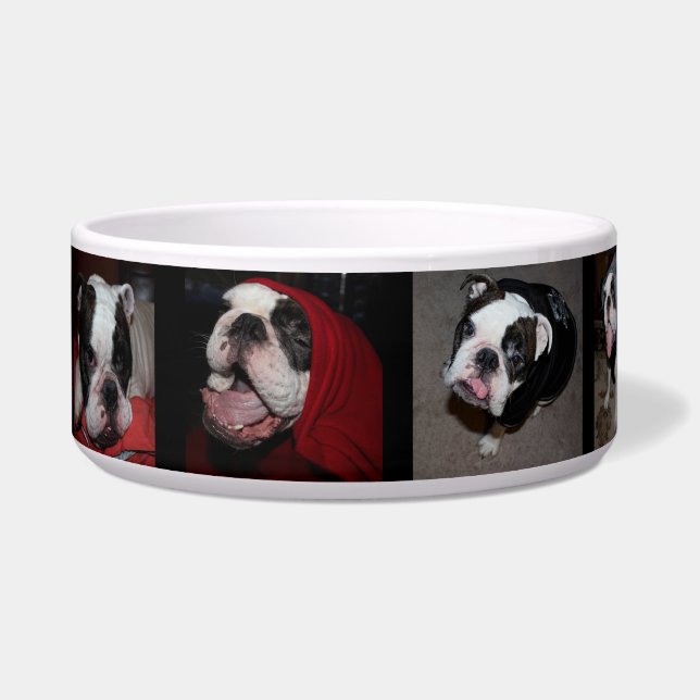 Custom Personalised Photo Pet Dog Bowl (Left)