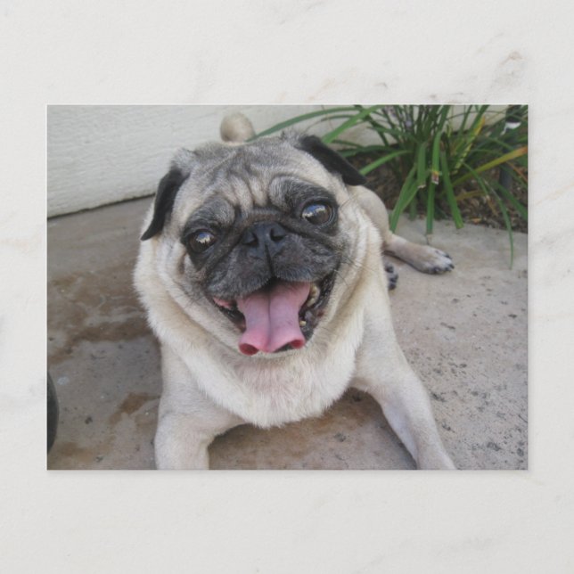 Custom Personalised Photo Postcard (Front)