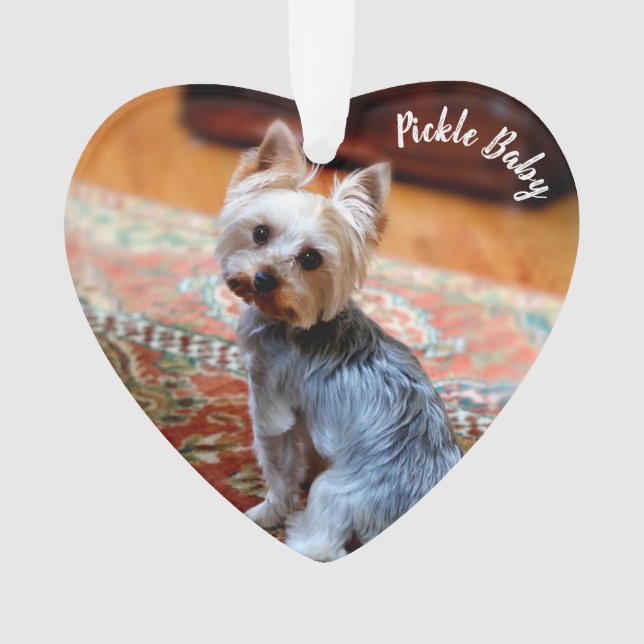 Custom  Pet 2 Photo Name Christmas Ornament (Front)