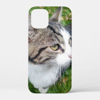 Custom pet animal image or family photo