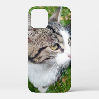 Custom pet animal image or family photo iPhone 12 mini case